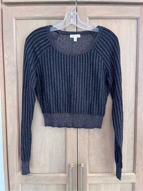 Silence + Noise Metallic Stripe Crop Shirt
